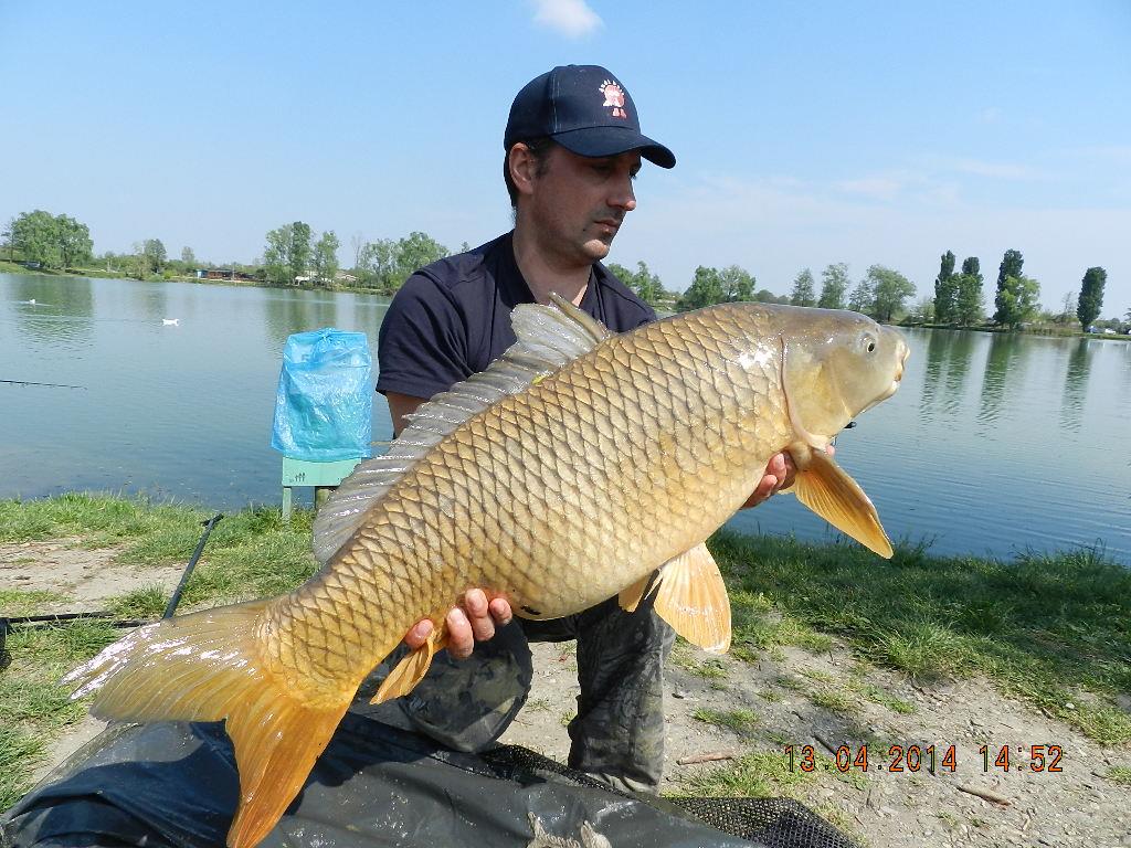 12 aprilie 2014 - dscn2147.JPG